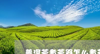 普洱茶煮茶器怎么煮茶水/2023082759361