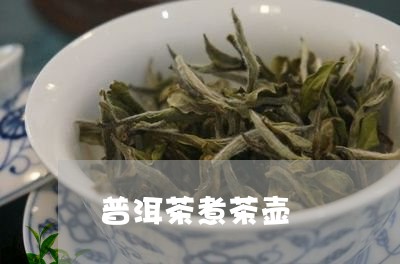 普洱茶煮茶壶/2023042923584