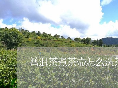 普洱茶煮茶壶怎么洗茶/2023100836378