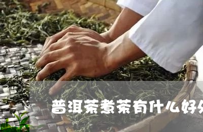 普洱茶煮茶有什么好处/2023080156260