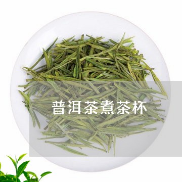 普洱茶煮茶杯/2023042666