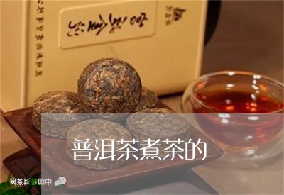 普洱茶煮茶的/2023042882749