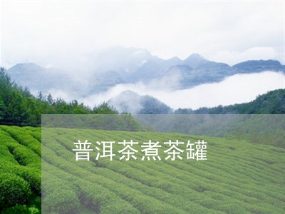 普洱茶煮茶罐/2023042806974