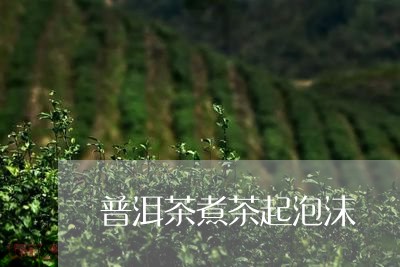 普洱茶煮茶起泡沫/2023110319404