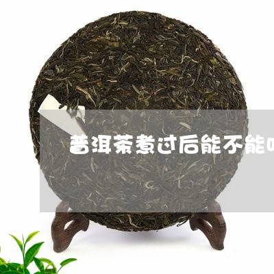 普洱茶煮过后能不能吃/2023072335058