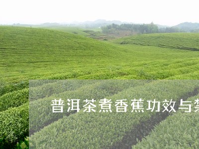 普洱茶煮香蕉功效与禁忌/2023110327260