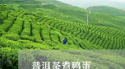 普洱茶煮鸭蛋/2023090619481