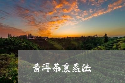 普洱茶熏蒸法/2023042761977