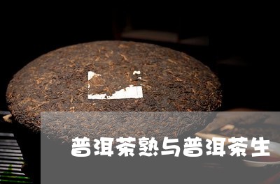 普洱茶熟与普洱茶生/2023070947563