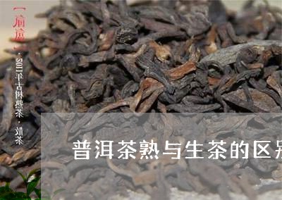 普洱茶熟与生茶的区别/2023073003017