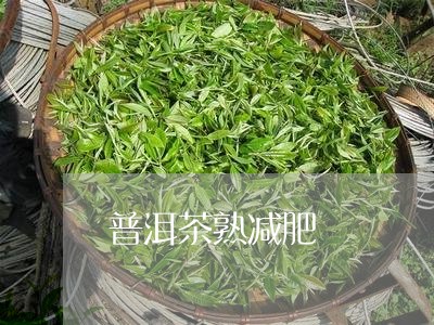 普洱茶熟减肥/2023042896932