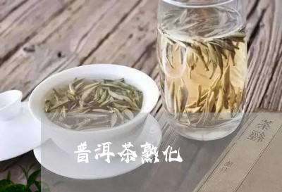 普洱茶熟化/2023090540403