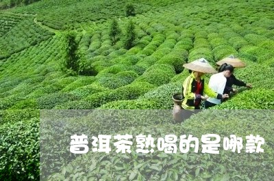 普洱茶熟喝的是哪款/2023081462536