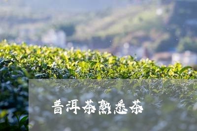 普洱茶熟悉茶/2023042853674