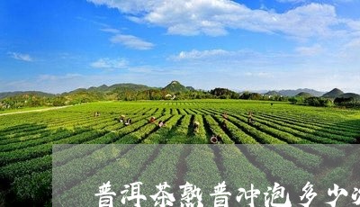 普洱茶熟普冲泡多少次/2023061868202