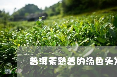 普洱茶熟普的汤色头发/2023061869606