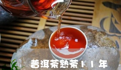 普洱茶熟茶11年/2023120489714