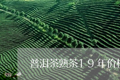 普洱茶熟茶19年价格/2023100711582