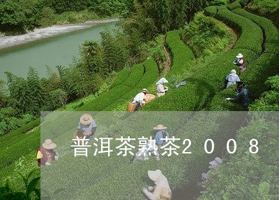 普洱茶熟茶2008/2023091500363