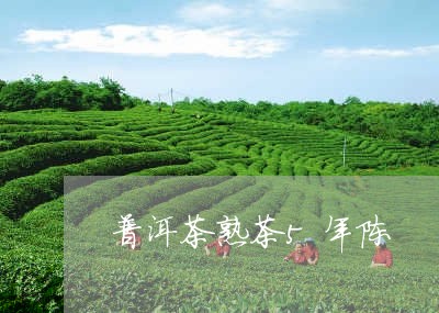 普洱茶熟茶5年陈/2023120422384