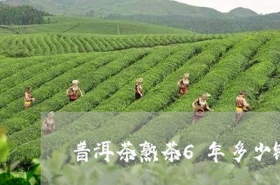 普洱茶熟茶6年多少钱/2023062204148