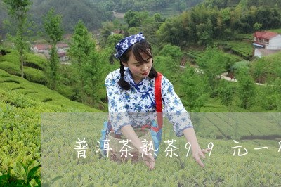 普洱茶熟茶99元一斤/2023120770692