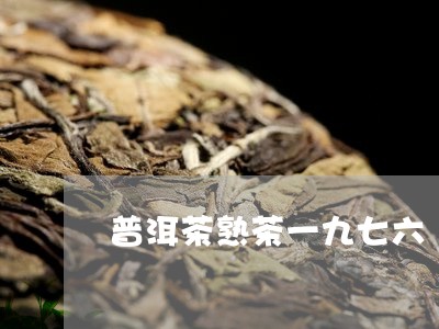 普洱茶熟茶一九七六/2023120459503