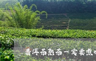 普洱茶熟茶一定要煮吗/2023062146039