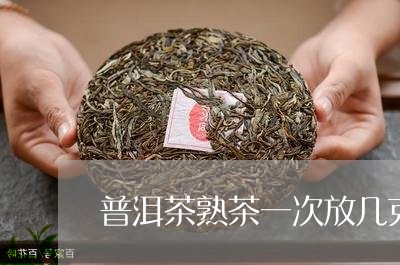 普洱茶熟茶一次放几克/2023062153848