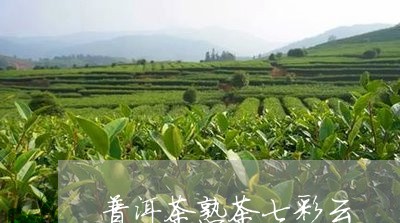 普洱茶熟茶七彩云/2023101668372