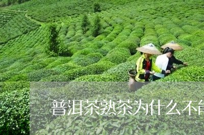 普洱茶熟茶为什么不能喝/2023121720942