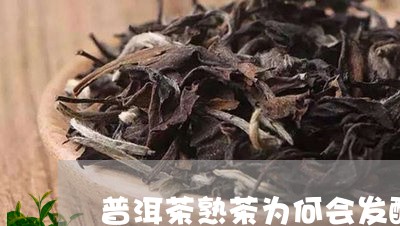 普洱茶熟茶为何会发酸/2023080361604