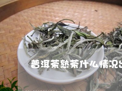 普洱茶熟茶什么情况出参香味/2023082634847