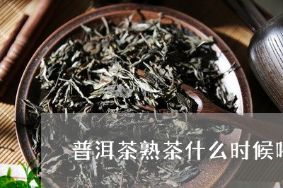 普洱茶熟茶什么时候喝合适/2023110750382