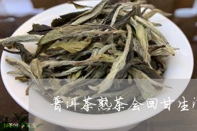 普洱茶熟茶会回甘生津吗0/2023051349403