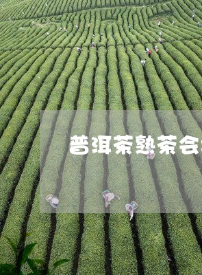 普洱茶熟茶会坏吗吗/2023091516058