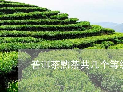 普洱茶熟茶共几个等级/2023080337271