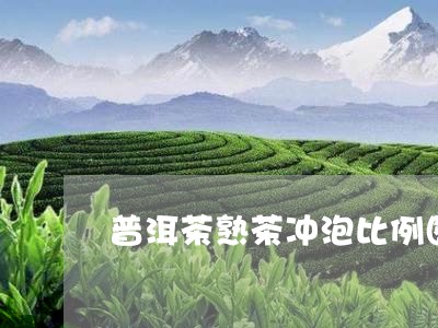 普洱茶熟茶冲泡比例图表/2023083020693