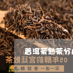 普洱茶熟茶分几类标准是什么/2023121741491