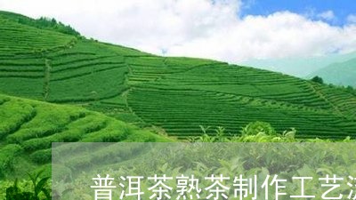 普洱茶熟茶制作工艺流程简单图/2023110495258