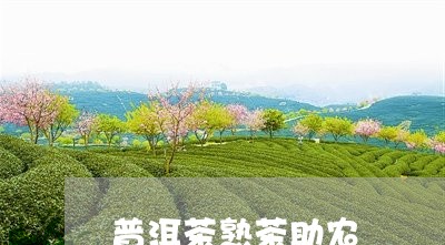 普洱茶熟茶助农/2023081565159