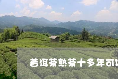 普洱茶熟茶十多年可以喝吗/2023112559391