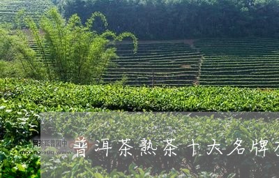 普洱茶熟茶十大名牌有哪些/2023110240571