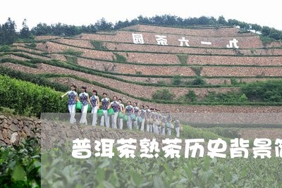 普洱茶熟茶历史背景简介/2023102494168