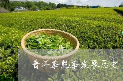 普洱茶熟茶发展历史/2023120579270