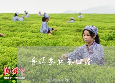 普洱茶熟茶口滑/2023110915057