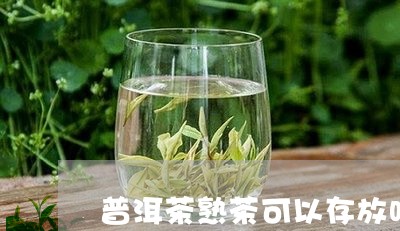 普洱茶熟茶可以存放吗/2023080305240