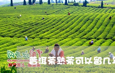 普洱茶熟茶可以留几年/2023100736939