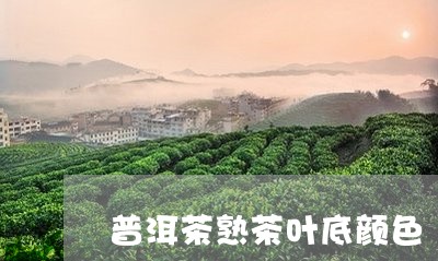 普洱茶熟茶叶底颜色/2023071048723