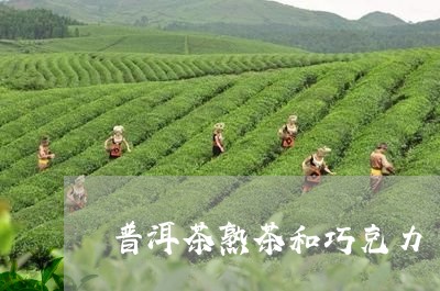 普洱茶熟茶和巧克力/2023070941725